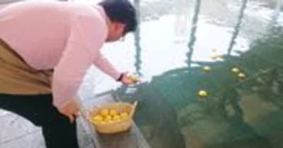 伊勢志摩温泉 志摩スペイン村「ひまわりの湯」で柚子湯の実施