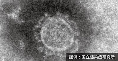 【14日速報】岐阜県内で1人が新型コロナ感染