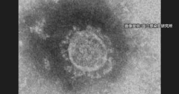 【続報】新潟県長岡市１８人　新発田市１人感染確認　新型コロナウイルス