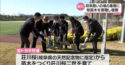 労働団体が宮崎市に「荘川桜」の苗木を寄贈・宮崎県
