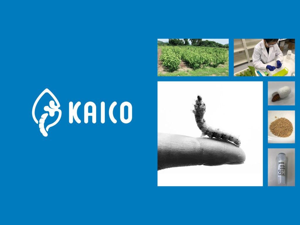 カイコ由来タンパク質を用いた経口ワクチンの開発を行う九州大学発KAICOが2.6億円調達