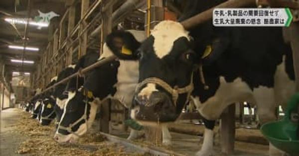 コロナ禍で年末年始に生乳を大量に廃棄する懸念千葉県の酪農家は