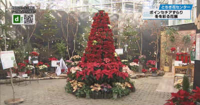 花で彩るクリスマス　北欧の森イメージ　とちぎ花センター