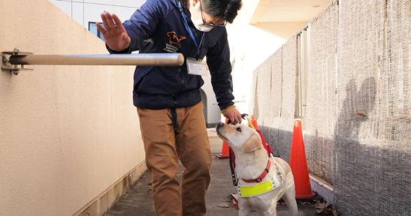 コロナ禍で奮闘する北海道盲導犬協会　２５日にオンライン見学会