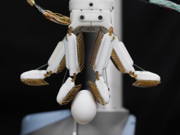 ヒントはヤモリ！ 卵をつかめるロボットハンド「FarmHand」をスタンフォード大学が発表