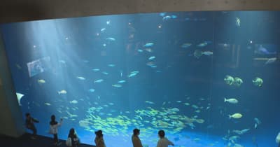 香川県知事が四国水族館を視察「相乗効果が出るような連携を」
