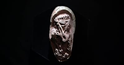恐竜の卵の化石からふ化前の「赤ちゃん」発見