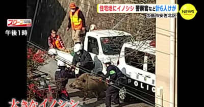 広島市安佐北区の住宅地にイノシシ 警察官など計６人けが