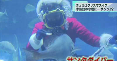 サンタクロースダイバーが登場　東京・品川区の水族館
