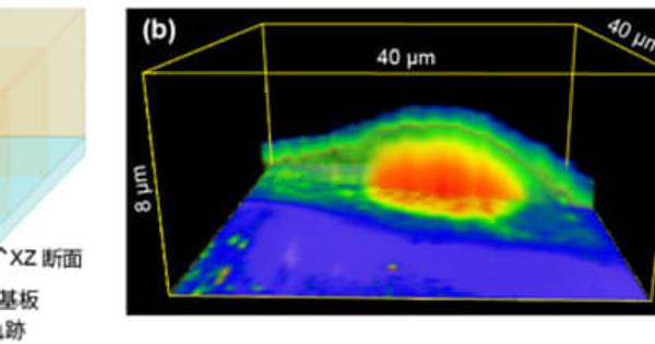 金沢大学ナノ生命科学研究所：生きた細胞の内部をナノレベルで直接観察できる原子間力顕微鏡技術開発に成功