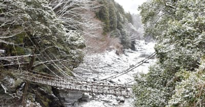 徳島県内今季一番の冷え込み　かずら橋が雪化粧