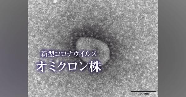 広島県でオミクロン株初確認「市中感染」か　12月27日発表