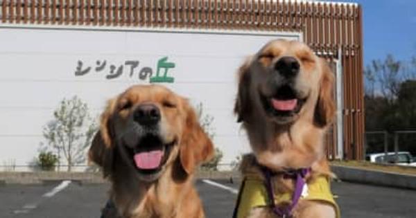 介助犬や元候補犬の“日常”を知る「キャリアチェンジ犬交流会」開催