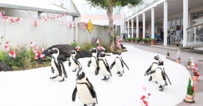横浜・八景島シーパラダイス、海の動物たちと過ごす新春イベントを開催1月1日～31日