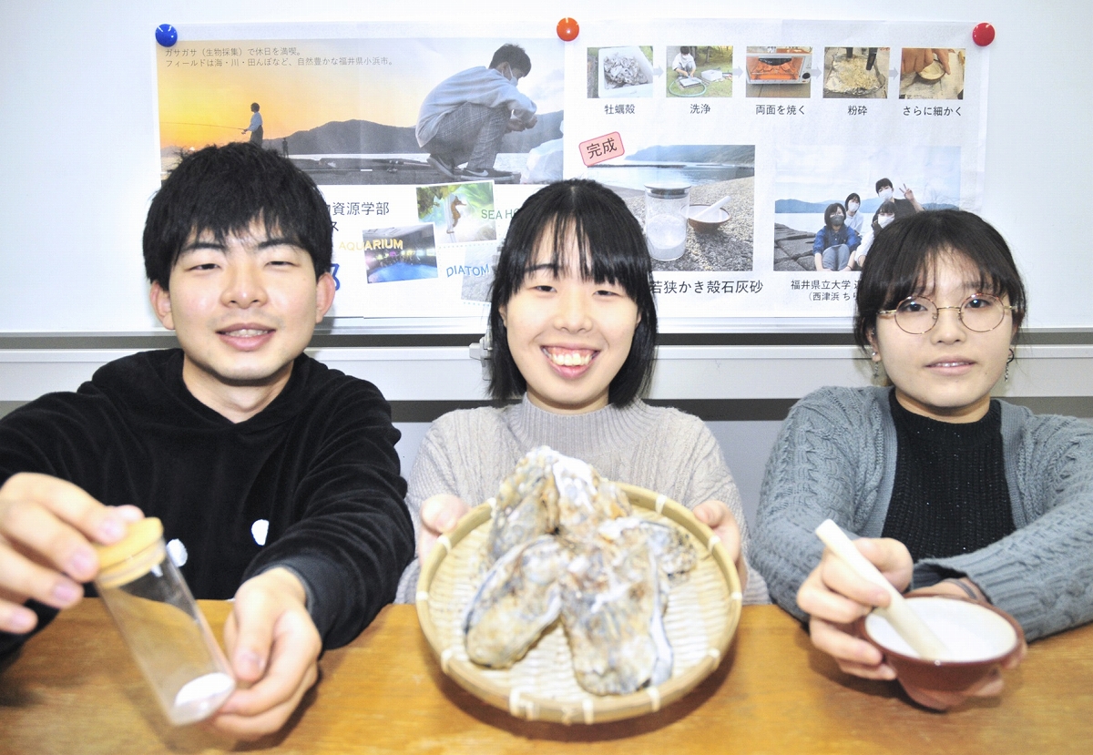 「すべらない砂」日本一は小浜湾で養殖の若狭かきの殻　福井県立大学チームがすりつぶし制作