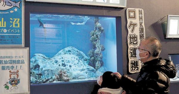 「おかえりモネ」と「あまちゃん」つなぐ　久慈の水族館でイベント