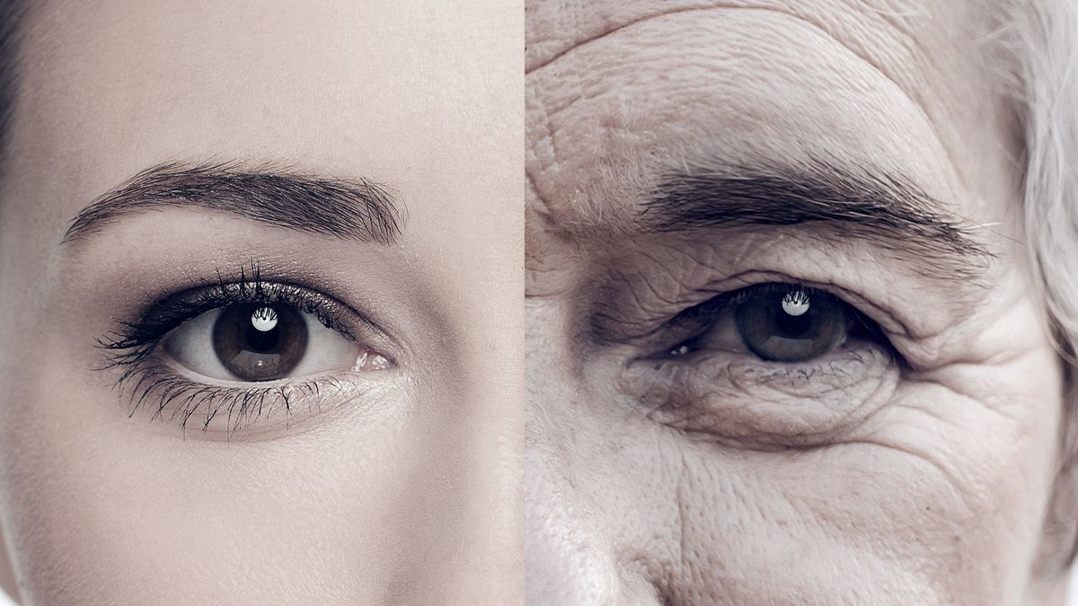 40代で一気に｢顔の老化｣が進む人が毎朝食べているもの【2020年BEST5】 - 血管の専門家が老け顔を科学する