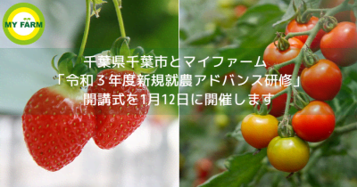 千葉県千葉市とマイファーム 「令和３年度新規就農アドバンス研修」開講式を開催 　 千葉市でトマトとイチゴを学び、新規就農を目指します。