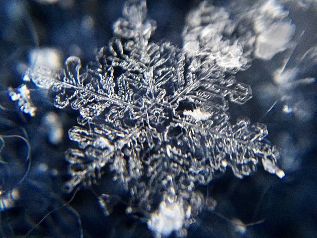 雪の結晶 スマホで簡単に撮影できるんです 天気のプロが解説 めっちゃ分かりやすい 画像集