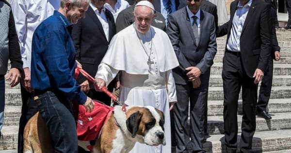ローマ教皇、子どもを持たずにペットを飼うのは「身勝手」