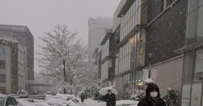 茨城県内で積雪　下妻11センチ、つくば8センチ
