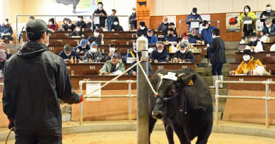 黒毛和種平均70万円台　子牛初競り、昨年並み／青森県家畜市場