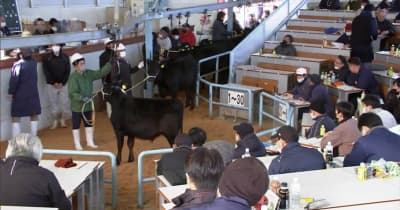 子牛の初競り　平均取引価格はやや下落・宮崎県