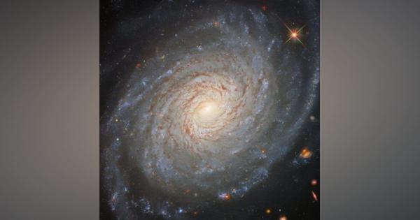 1億5000万光年先の渦巻銀河「NGC 976」　ハッブル宇宙望遠鏡が撮影