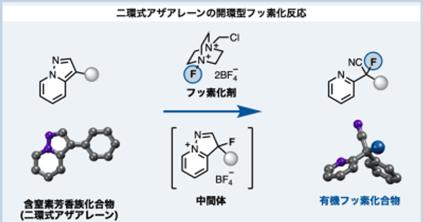 芳香環にフッ素を導入しながら変形する 有機フッ素化合物の新規合成法の開発に成功