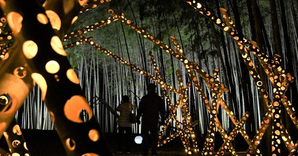 幻想的な竹あかり　栃木の農場で冬季限定ライトアップ