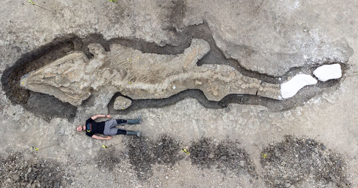 体長約10メートルの「魚竜」、イクチオサウルスの化石を発見　イギリス