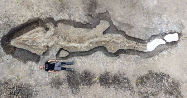 体長約10メートルの「魚竜」、イクチオサウルスの化石を発見 イギリス
