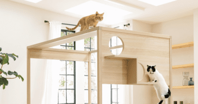 ネコステップ付きベッドやタワーパーテーションなど、“猫家具”新商品を発売ディノス
