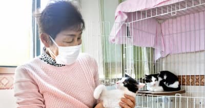 猫ブームの裏側で多頭飼育問題が頻発　福井の犬猫救うNPO「保護限界、不妊去勢理解を」