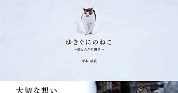 ネコと人　岩合光昭賞受賞作家　寺本さん写真集