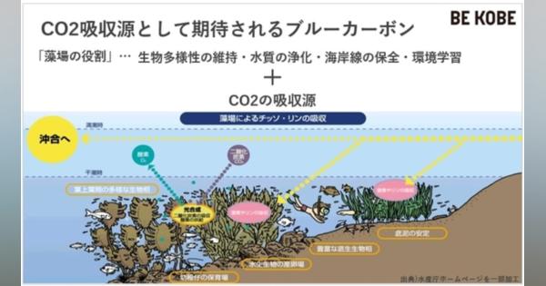 神戸市、「ブルーカーボン」への取り組み開始　淡水域におけるブルーカーボン評価など全国初実施