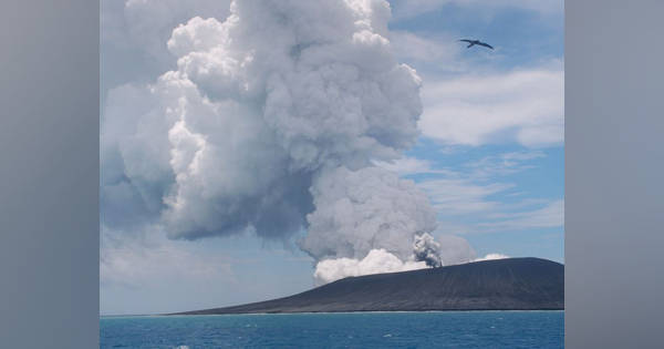 share?height=315&updatedAt=