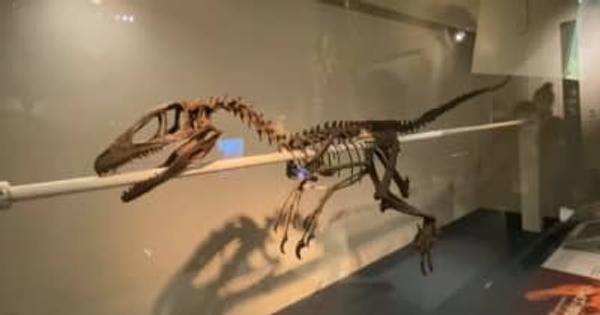 小児がん患者たち11人が恐竜の化石をオンラインで見学