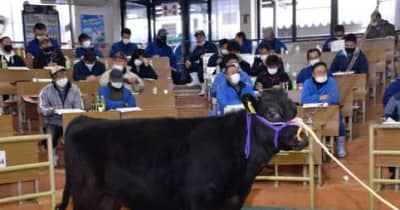 子牛初競り 3日間で1100頭　初日は平均75万7941円　鹿児島・肝属中央家畜市場