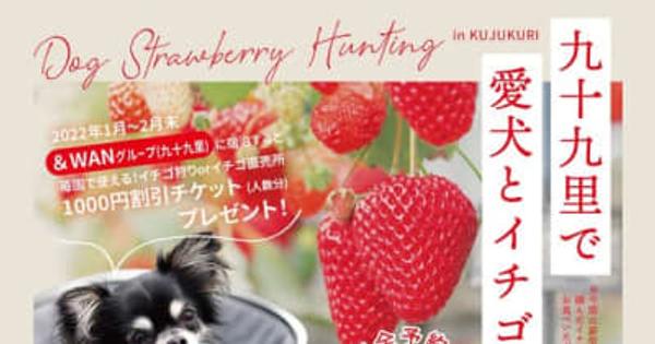 愛犬と楽しめるいちご狩り、千葉県の農園で予約受付スタート