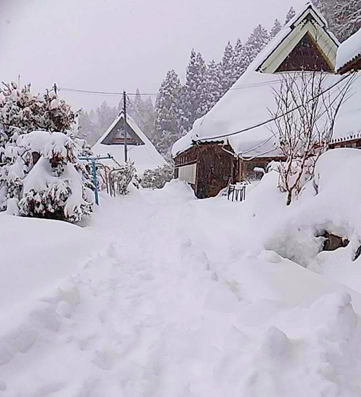 【大雪】京都府の山間部、積雪１ｍ超える　京都市・広河原99センチ、なだれ注意