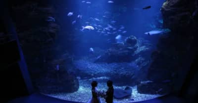 京都水族館で結婚式を挙げられるプラン、リーガロイヤルホテル京都が発売