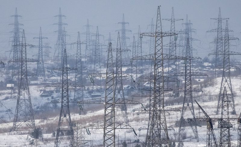 ロシア、拙速なエネルギーシフトに警鐘　「電力高騰の引き金に」