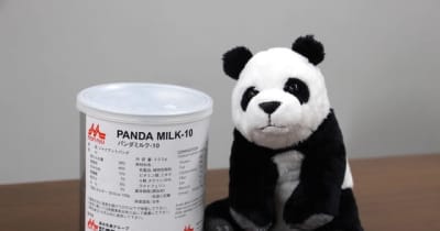 味は濃いめ？ 双子パンダの成長支える“パンダミルク”とは動物用粉ミルク開発の裏側
