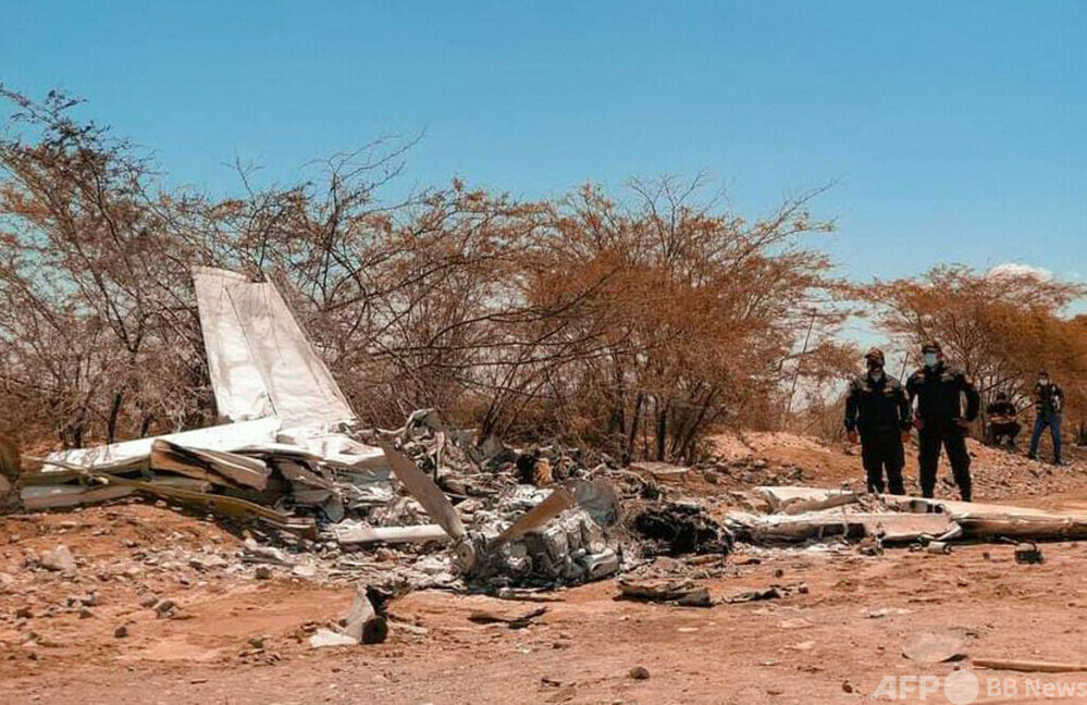 ナスカ地上絵の遊覧機墜落、観光客ら7人死亡 ペルー