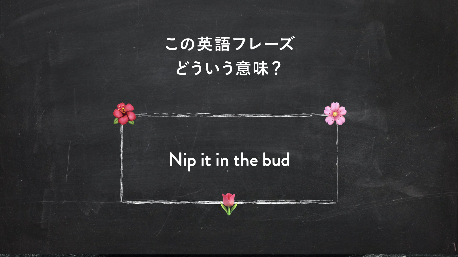 サラッと使いたい英語フレーズ　“Nip it in the bud” ってどういう意味？ | 一目置かれる「慣用句」