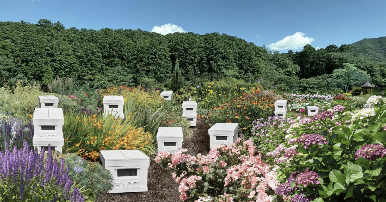 ハッチがミツバチが快適に過ごせる「ミツバチの楽園」を三重県にオープン　千葉など全国展開を予定
