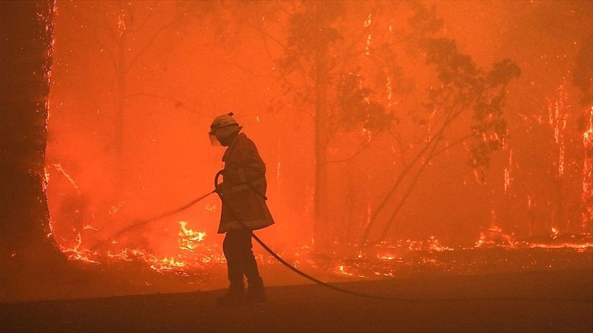 西オーストラリアで激しい山火事 記録的な気温上昇