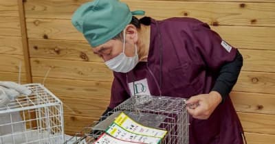 宮崎県内野良猫の不妊手術支援　兵庫の団体