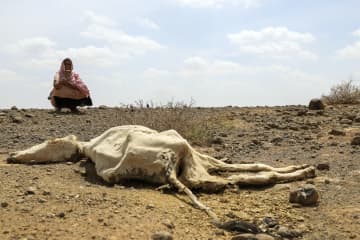 干ばつで1千万人に飢えの脅威　アフリカ東端、WFP警告